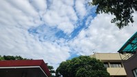 Pemandangan langit Jakarta begitu biru. Adapun konsentrasi PM 2,5 saat ini memenuhi nilai panduan kualitas udara tahunan organisasi kesehatan dunia atau WHO. (Adrial Akbar/detikcom)