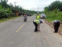 Laka di Muba yang Tewaskan 2 Orang Pemudik Diduga karena Ban Mobil Pecah
