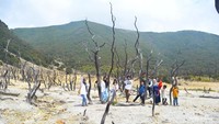 Seseruan foto bareng krucil