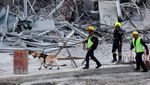 Anjing Pelacak Dikerahkan Cari Korban Gedung Runtuh Imbas Gempa di Thailand