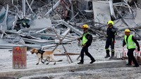 Petugas penyelamat terlihat bersama anjing pelacak menyisir ke dalam reruntuhan bangunan yang runtuh di Bangkok pada Minggu (30/3) pagi, sementara 47 orang masih hilang atau terjebak di bawah reruntuhan - termasuk pekerja dari Myanmar. REUTERS/Athit Perawongmetha