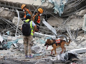 Tim Anjing Pelacak Polri Berhasil Temukan Korban Gempa Myanmar