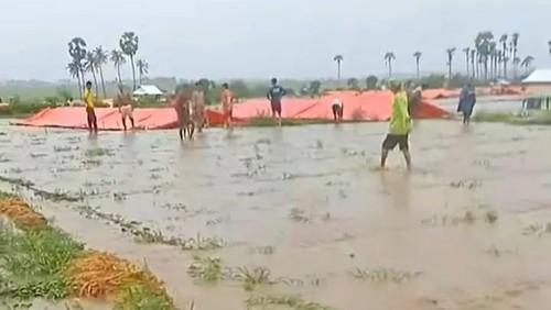 Banjir merendam lahan bawang merah di Kecamatan Lambu, Kabupaten Bima, NTB, Minggu, (30/3/2025) sore. (Istimewa)