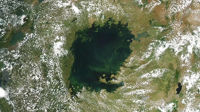 Danau terbesar dunia berubah hijau