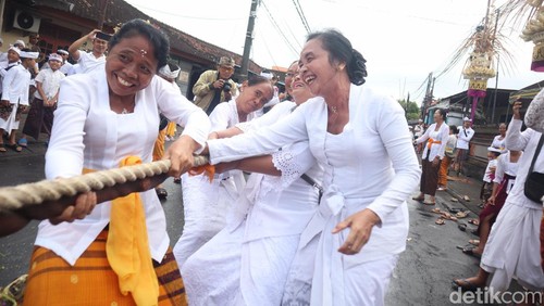 Ibu-ibu bersorak seru saat menahan tambang agar tidak tertarik kelompok lawan saat tradisi Mbed-mbedan Desa Adat Semate, Badung, Minggu (30/3/2025). (Agus Eka)