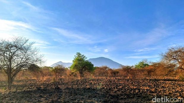 Ini Rest Area Berfungsi untuk Istirahat dan Berwisata Saat Mudik Lewat Jalur Situbondo