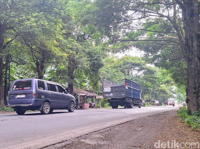 Suasana Jalur Pantura Situbondo