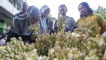 Jelang Lebaran, Pasar Bunga Rawa Belong Diserbu Warga