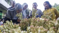 Para pembeli berburu bunga untuk menghias rumahnya saat Lebaran.