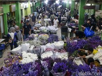 Video Curhat Pedagang Bunga di Pasar Rawa Belong: Atap Bolong-Jalan Rusak