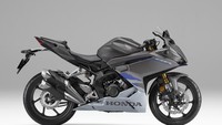 Di luar pembaruan warna, spesifikasi motor ini selebihnya sama seperti pendahulunya. Mesinnya pakai spek 250 cc 2 silinder segaris, yang mampu menghasilkan tenaga kuda maksimum hingga 42 PS dan torsi maksimum 25 Nm. Konsumsi bahan bakar motor ini diklaim irit dengan catatan 40,1 km/liter. Foto: Dok. Honda