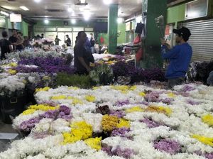 Berburu Sedap Malam hingga Lapis Legit Viral Jelang Lebaran