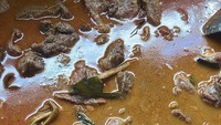 Prilly juga bagikan foto rendangnya saat masih dalam proses masak. Prilly memang salah satu artis yang jago masak rendang. Foto: Instagram @prillylatuconsina96