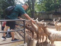 Lonjakan Pengunjung Bandung Zoo di Hari Kedua Lebaran Hingga 7.800 Orang