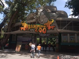 Sejarah Bandung Zoo, Kebun Binatang Legendaris yang Kini Disegel