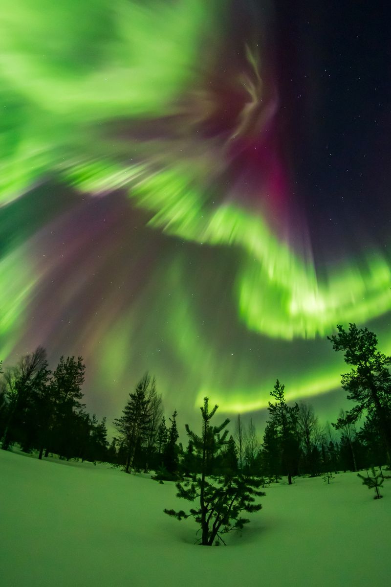 A view of northern lights over the skies of Rovaniemi, Lapland, Finland March 25, 2025.  All About Lapland/Alexander Kuznetsov/Handout via REUTERS    THIS IMAGE HAS BEEN SUPPLIED BY A THIRD PARTY. MANDATORY CREDIT.     TPX IMAGES OF THE DAY