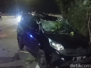 Pohon Timpa Mobil-Motor Pemudik di Cadas Pangeran Sumedang