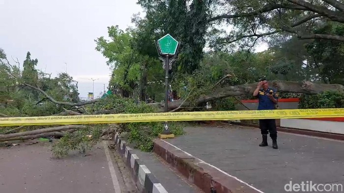 Pohon beringin yang tumbang menimpa jemaah salat Idul Fitri di Alun-alun Pemalang, Senin (31/3/2025).
