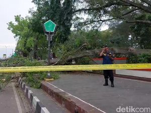 Korban Tewas Tertimpa Pohon Beringin Saat Salat Id Bertambah, Ini Identitasnya