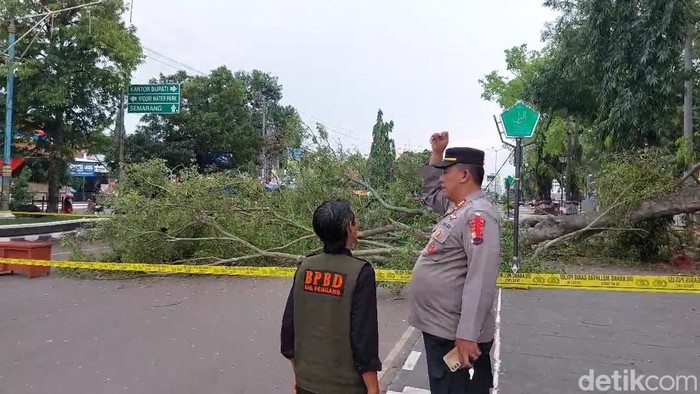 Pohon beringin yang tumbang menimpa jemaah salat Idul Fitri di Alun-alun Pemalang, Senin (31/3/2025).