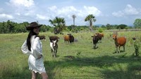 Memakai topi koboi, Yasmin Napper berpose seolah-olah sedang mengembalakan sapi-sapi. Dalam keterangan unggahan itu, dia mengatakan memang punya fantasi menjadi koboi lho.