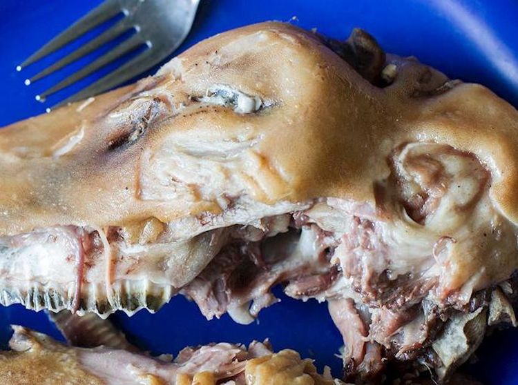 10 Makanan Paling Tidak Enak di Dunia, Ada Kepala Kambing hingga Jelly Ikan