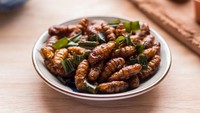 Camilan ulat sutra di Thailand memang bukan hal yang baru. Tapi TasteAtlas menyebut camilan ini sebagai makanan paling tidak enak di dunia.Foto: TasteAtlas/Shutterstock/Site Culinary