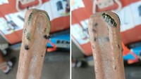 Baru-baru ini ada temuan ular dalam es krim kaki lima di Thailand. Ularnya terlihat utuh terperangkap dalam adonan es krim. Foto: Bored Panda