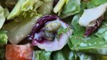 10 Temuan Makanan Zonk yang Bikin Selera Makan Langsung Hilang