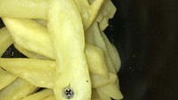 Bukan cuma menghilangkan selera makan, temuan zonk ini membahayakan kesehatan. Ada sekrup nyasar di kentang goreng. Foto: Bored Panda