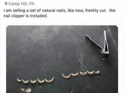 Aneka Barang Aneh yang Dijual di Facebook Marketplace, Bikin Garuk Kepala