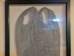 Aneka Barang Aneh yang Dijual di Facebook Marketplace, Bikin Garuk Kepala