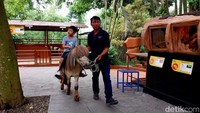 Batu Ekonomis Park ini sebenarnya bukan merupakan tempat wisata baru. Melainkan rebranding dari wisata Edukasi Predator Fun Park  (Foto: M Bagus Ibrahim/detikJatim)