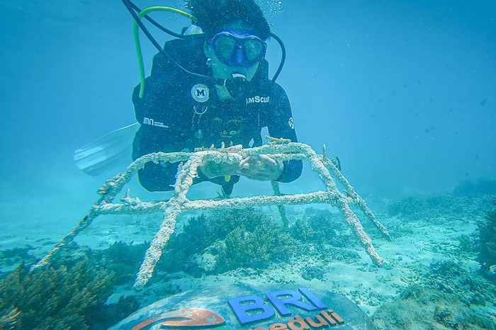 BRI Menanam Grow & Green Ujung Tombak Pelestarian Ekosistem Laut di NTB