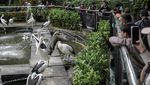 Deretan Wisata di Jakarta Ramai Saat Libur Idul Fitri