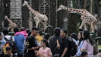 Pengelola Taman Margasatwa Ragunan mencatat pada libur Idul Fitri 1446 H, Selasa (1/4) hingga pukul 13.00 WIB jumlah pengunjung mencapai 48.500 orang. ANTARA FOTO/Fauzan