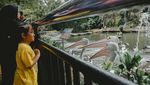 Hari Kedua Lebaran, Taman Margasatwa Ragunan Mulai Ramai Pengunjung