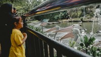 Dalam menarik pengunjung di momen libur Lebaran kali ini, Ragunan menyediakan berbagai kegiatan mulai dari keeper talk yaitu edukasi langsung yang dilakukan oleh perawat satwa kepada pengunjung.