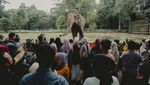 Hari Kedua Lebaran, Taman Margasatwa Ragunan Mulai Ramai Pengunjung