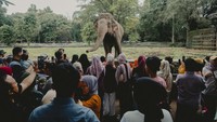 Kepala Humas Ragunan Wahyudi Bambang mengatakan jam tutup Ragunan juga akan ditambah jika jumlah pengunjung membludak. 