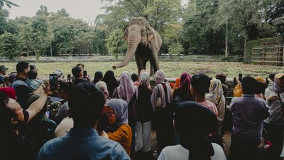 Hari Kedua Lebaran, Taman Margasatwa Ragunan Mulai Ramai Pengunjung