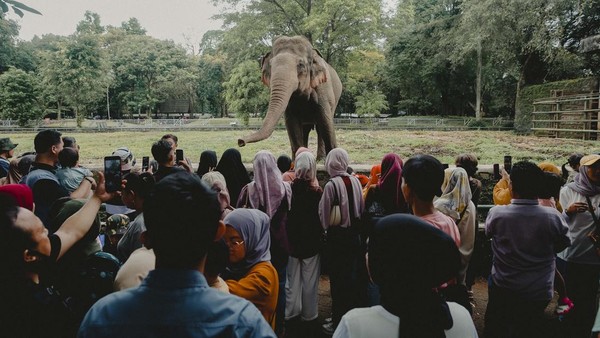 Hari Kedua Lebaran, Taman Margasatwa Ragunan Mulai Ramai Pengunjung