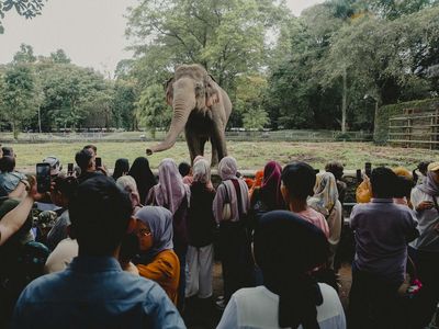 Hari Kedua Lebaran, Taman Margasatwa Ragunan Mulai Ramai Pengunjung