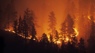 Kebakaran Hutan di Chili Tewaskan 15 Orang, 50 Ribu Warga Ngungsi