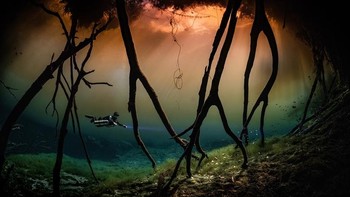 Light hasil jepretan Hwanhee Kim memenangkan kategori Wide Angle. Foto ini diambil di Rancho Viejo, Meksiko. Foto: Hwanhee Kim/Ocean Art Underwater Photo Contest 2024
