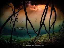 Terpukau Jawara Kontes Foto Underwater, Ada yang Dijepret di Indonesia