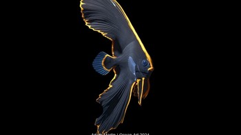 Juvenile Batfish yang dijepret oleh Adam Martin memenangkan kategori Macro. Foto ini diambil di Tulamben, Bali. Foto: Adam Martin/Ocean Art Underwater Photo Contest 2024