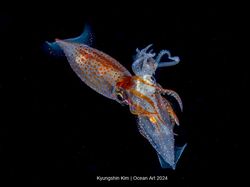 Terpukau Jawara Kontes Foto Underwater, Ada yang Dijepret di Indonesia