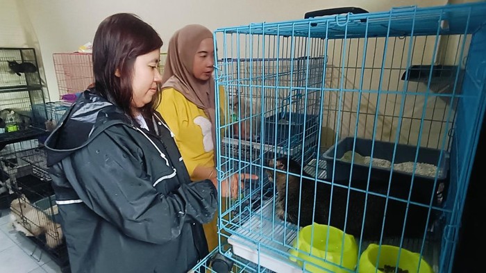 Jasa penitipan hewan di Kota Probolinggo laris manis selama lebaran