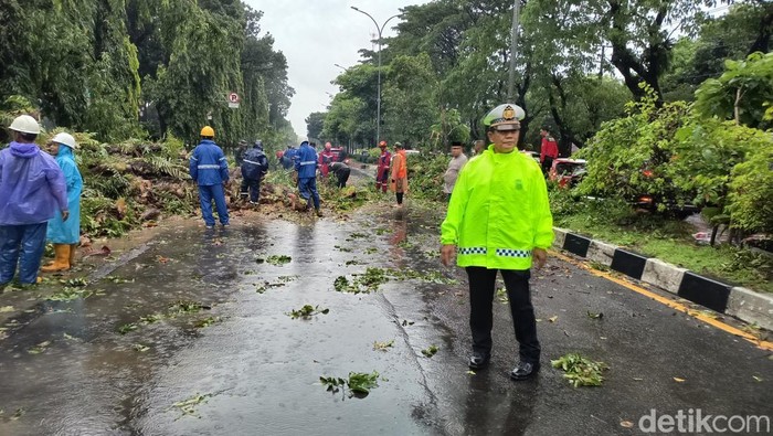 Pohon tumbang di Jalan Urip Sumoharjo Makassar.